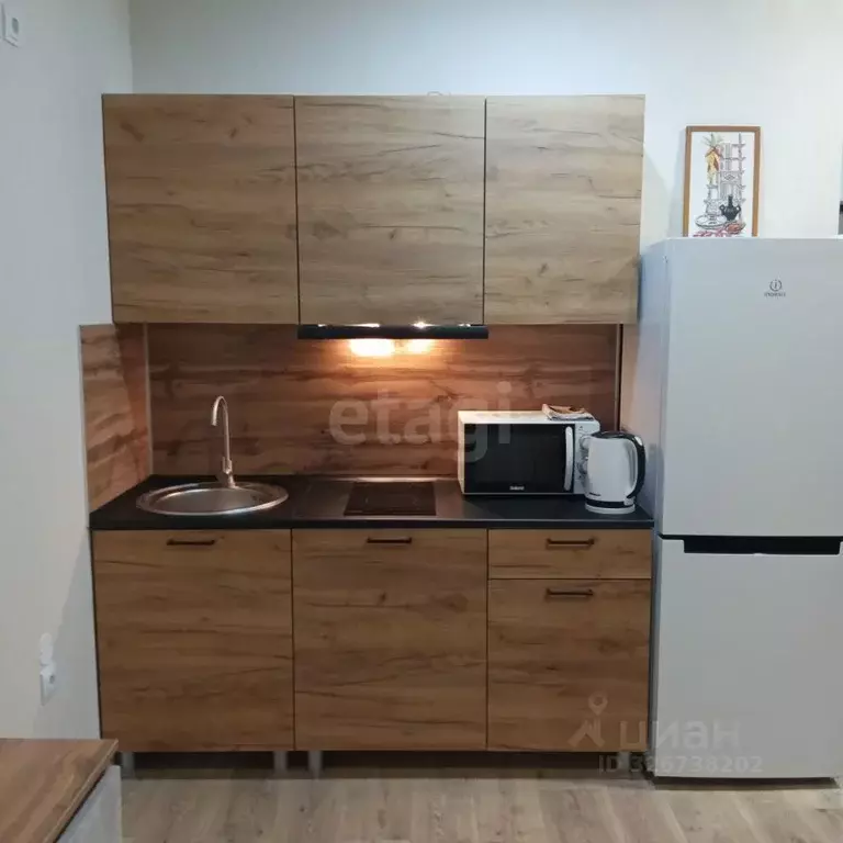 Студия Пермский край, д. Кондратово ул. Водопроводная, 4А (23.5 м) - Фото 2