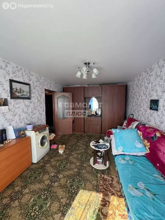 1-комнатная квартира: Ишим, улица Калинина, 110 (31.1 м) - Фото 0