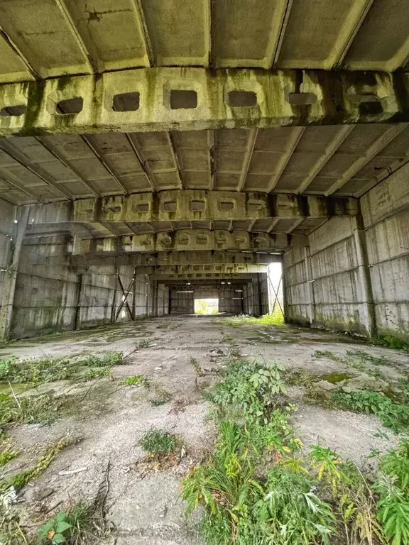 Склад в Московская область, Шаховская муниципальный округ, д. Холмец ... - Фото 2