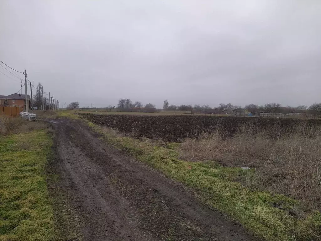 Участок в Краснодарский край, Ейский район, Александровское с/пос, с. ... - Фото 2
