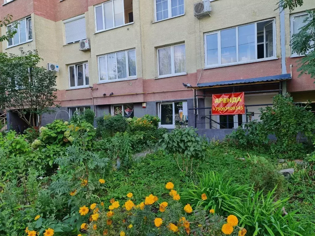 Помещение свободного назначения в Калининградская область, Калининград ... - Фото 0