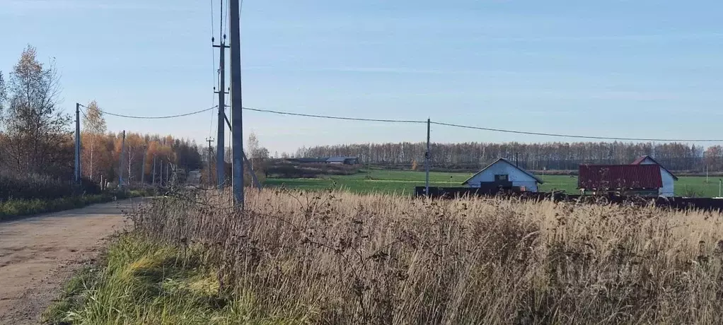 Участок в Ярославская область, Ярославский муниципальный округ, Новые ... - Фото 0