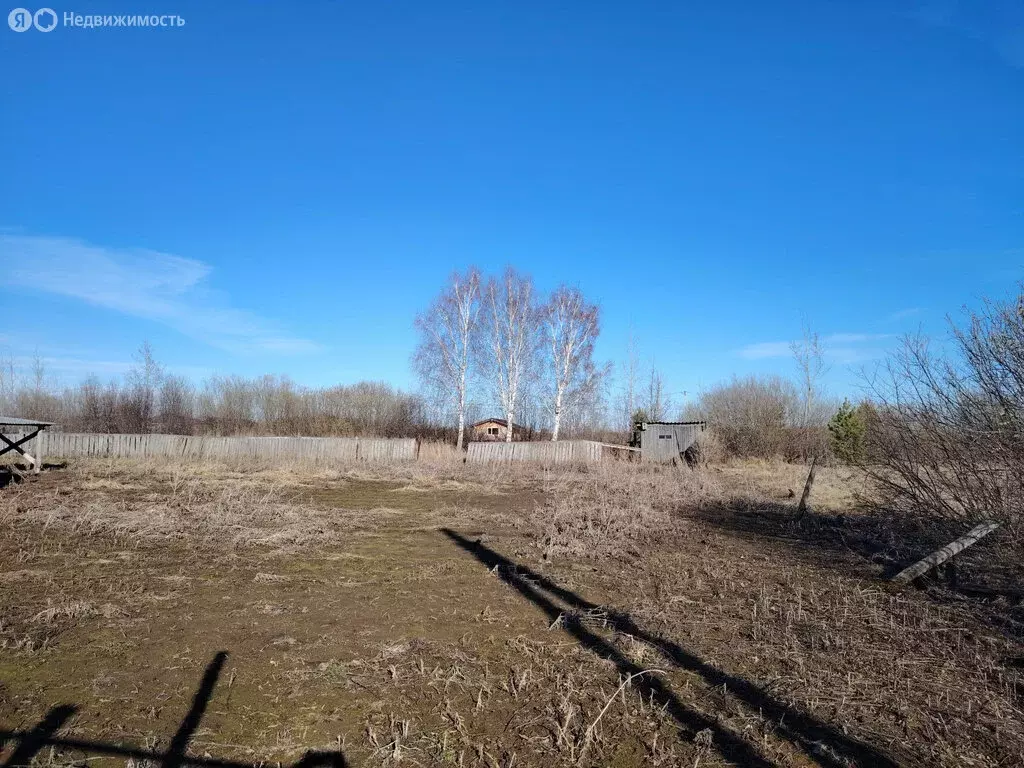 Участок в Тюменская область, Вагайский муниципальный округ, деревня ... - Фото 2