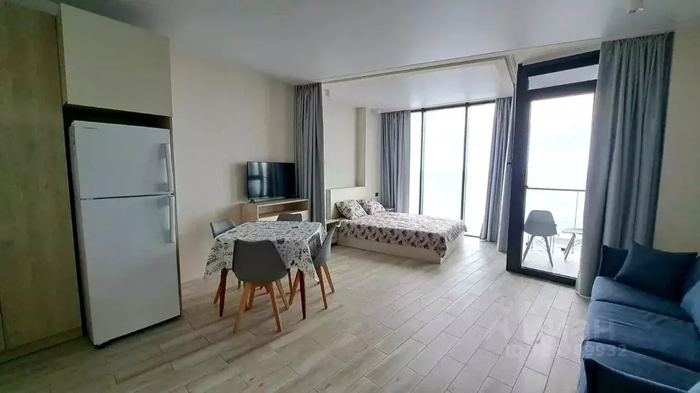 1-к кв. Краснодарский край, Сочи городской округ, Дагомыс пгт ул. ... - Фото 2