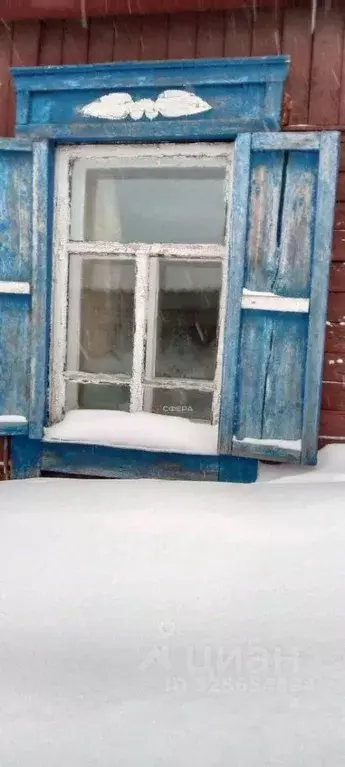 Дом в Новосибирская область, Болотное Барнаульская ул., 27 (23 м) - Фото 2