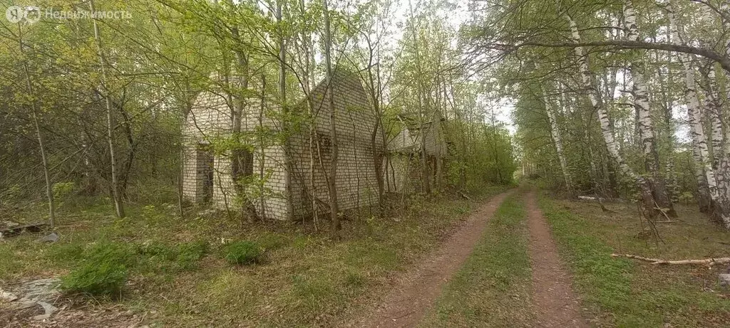 Участок в Нижегородская область, городской округ Бор, деревня Петрово, ... - Фото 0