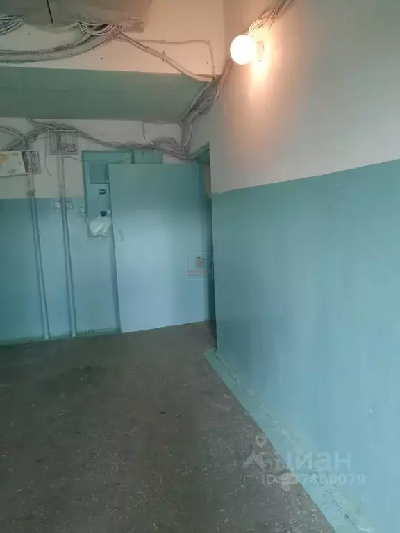 1-к кв. Курганская область, Курган ул. МАКСИМА ГОРЬКОГО, 188 (36.1 м) - Фото 2