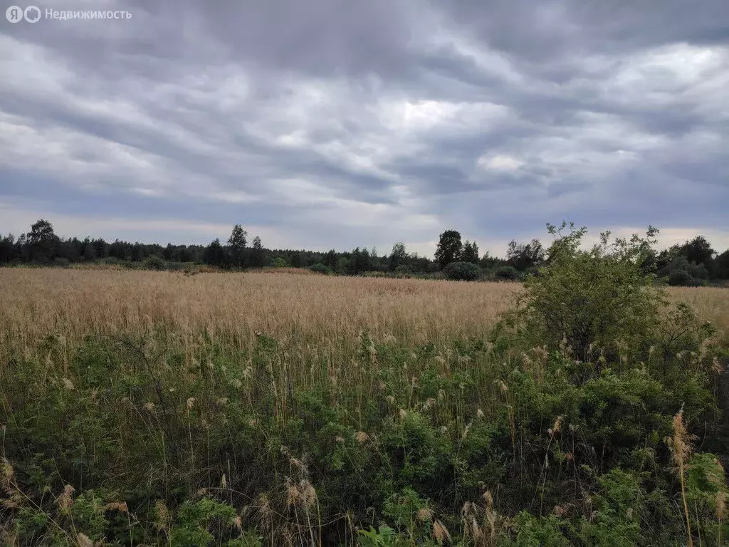 Участок в село Гусево, улица имени Петра Нестерова (9.85 м) - Фото 0
