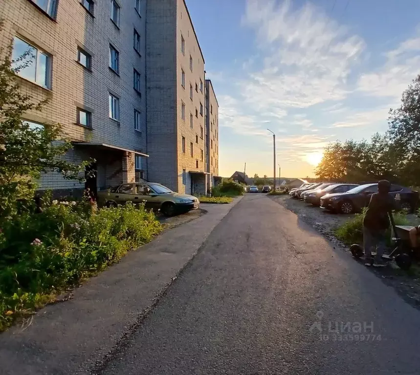 3-к кв. Карелия, Пудож Пудожский район, ул. Строителей, 20 (59.7 м) - Фото 2