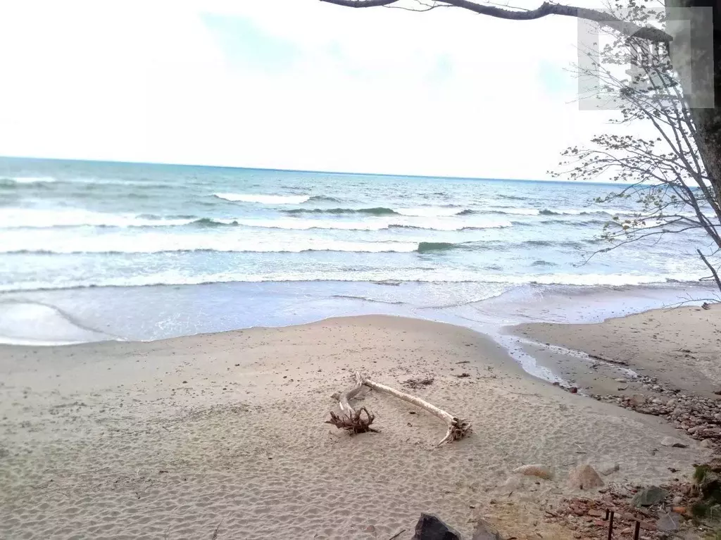 1-к кв. Калининградская область, пос. Приморье ул. Артиллерийская, 3 ... - Фото 1