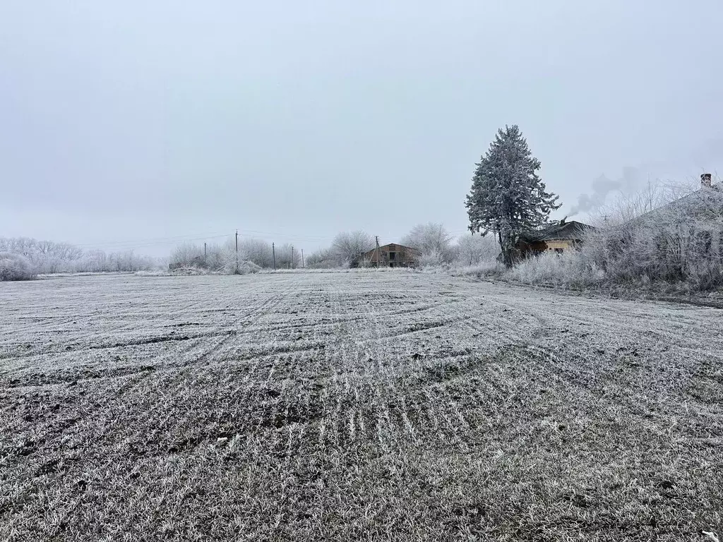 Склад в Краснодарский край, Ленинградская ст-ца ул. Производственная, ... - Фото 2