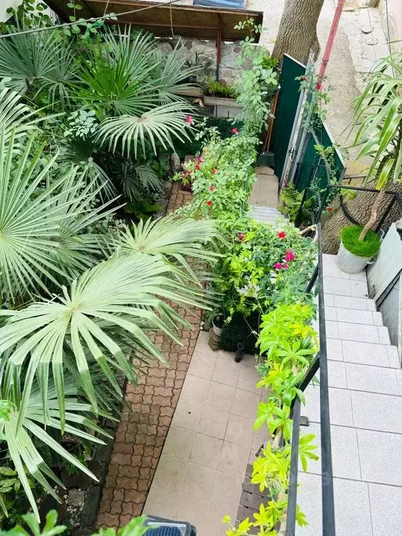 1-к кв. Крым, Ялта ул. Боткинская, 21 (25.0 м) - Фото 2