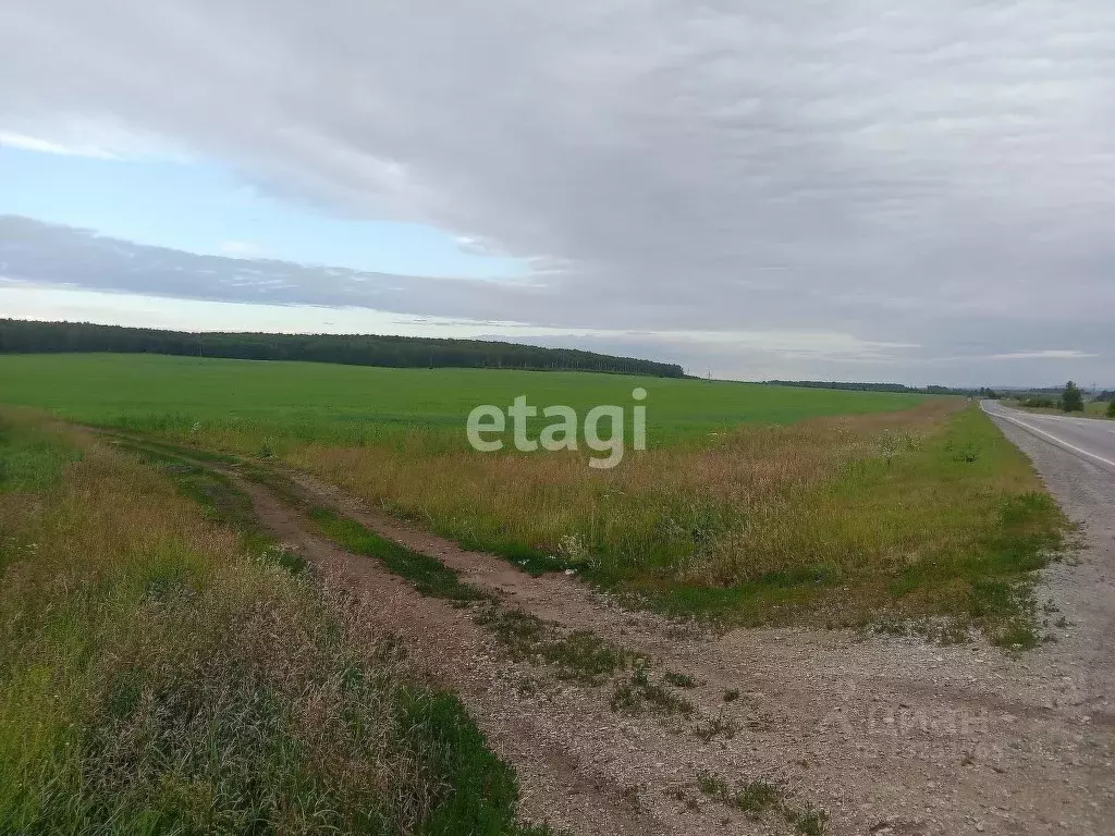 Участок в Челябинская область, Чебаркуль 2-ой дороги . - Фото 1