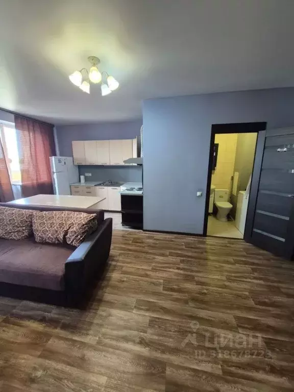 Студия Владимирская область, Владимир ул. Кулибина, 10 (32.0 м) - Фото 0
