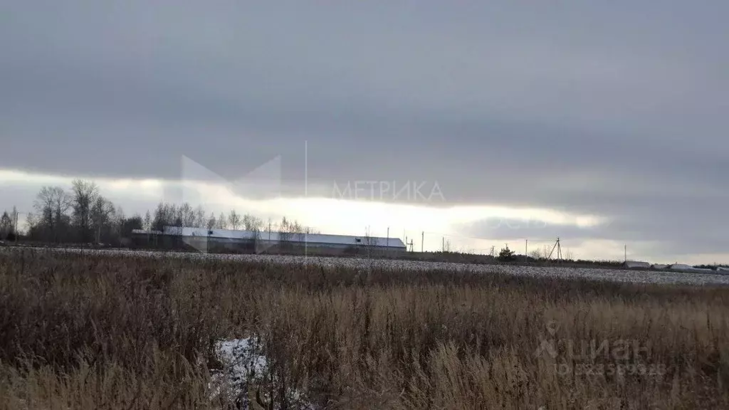 Участок в Тюменская область, Тюменский муниципальный округ, с. Борки ... - Фото 2