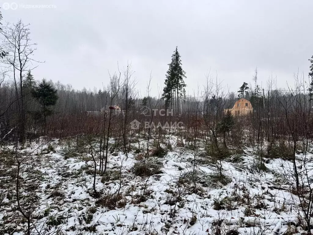Участок в Московская область, городской округ Пушкинский, деревня ... - Фото 1