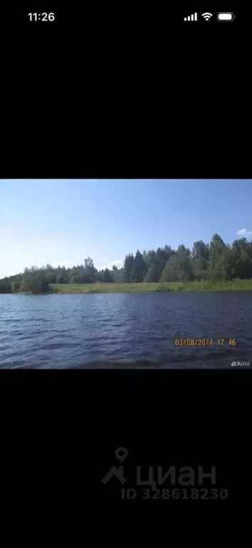 Участок в Вологодская область, Белозерский муниципальный округ, ... - Фото 1