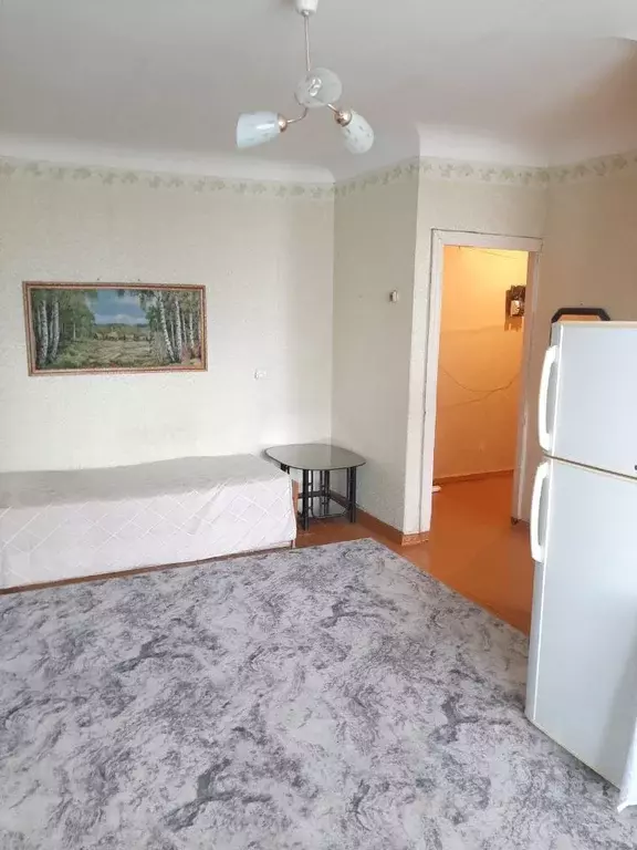 2-к кв. Алтайский край, Барнаул пер. Геблера, 28 (45.0 м) - Фото 2