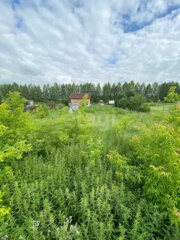 участок в свердловская область, белоярский городской округ, д. гусева . - Фото 1