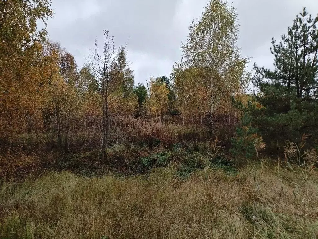 Участок в Московская область, Коломна городской округ, д. Климово  ... - Фото 0