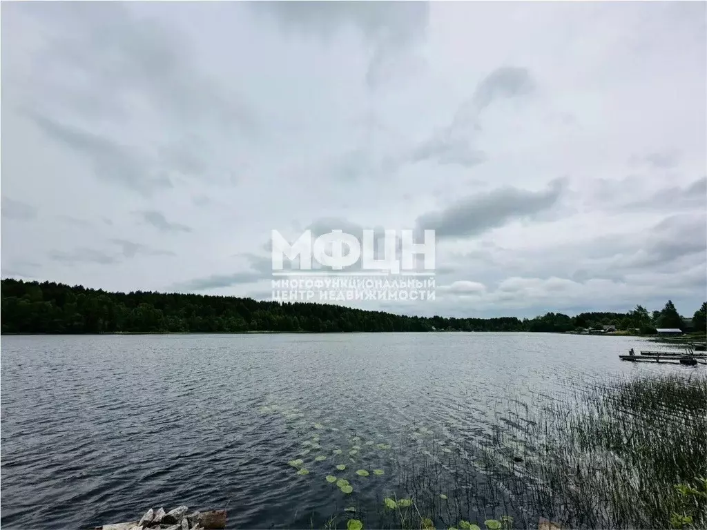 Участок в Карелия, Медвежьегорский муниципальный округ, Кумса Губа  ... - Фото 1