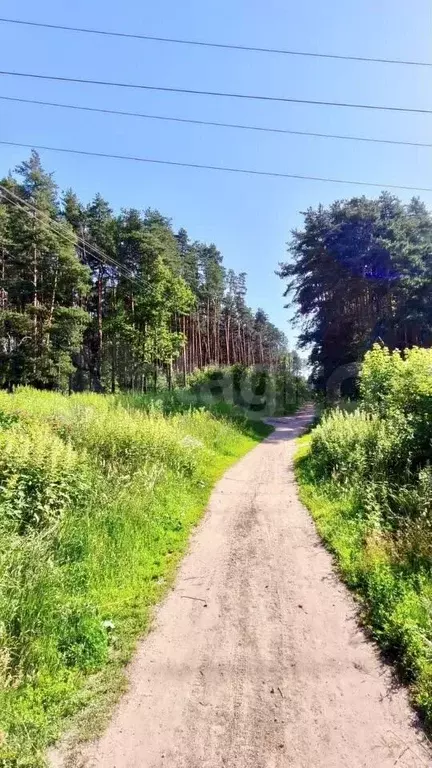 3-к. квартира, 67,3 м, 1/5 эт. - Фото 0