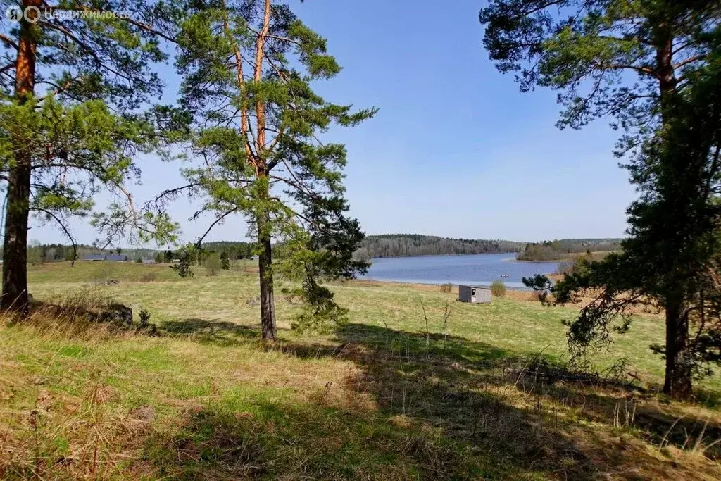 Участок в Республика Карелия, Лахденпохский муниципальный округ, ... - Фото 1