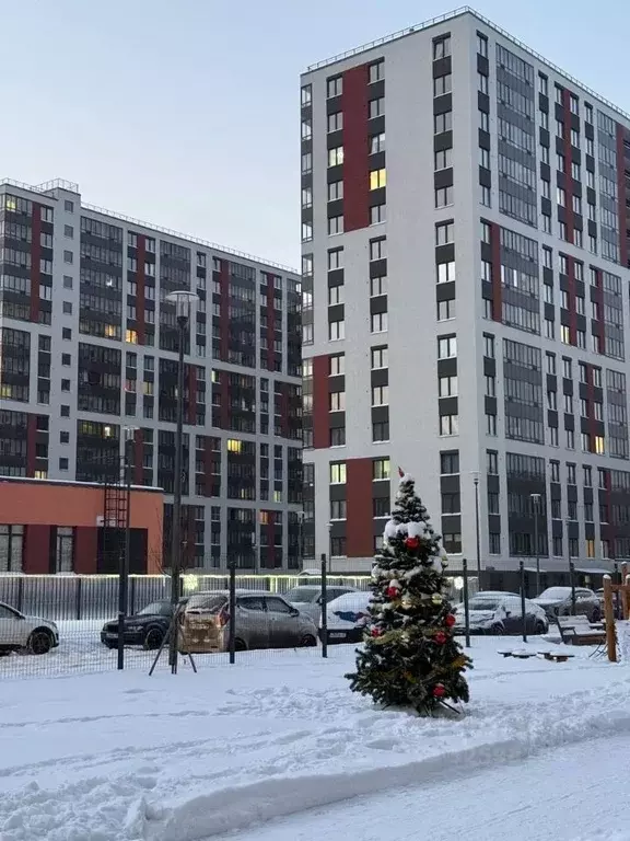 Студия Санкт-Петербург пос. Парголово, дор. Михайловская, 6 (25.0 м) - Фото 1