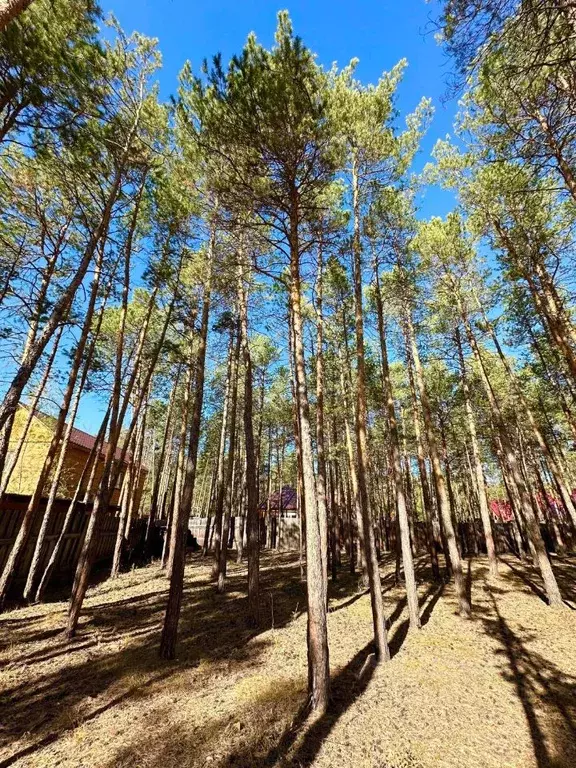 Участок в Саха (Якутия), Якутск ул. Билибина (9.4 сот.) - Фото 1