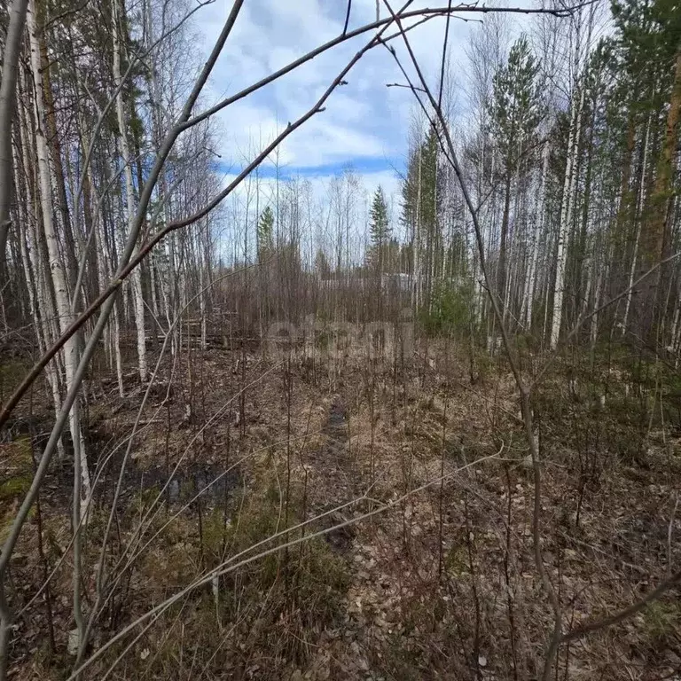 Участок в Ханты-Мансийский АО, Ханты-Мансийск Геофизик-2 СОТ, 20 (9.3 ... - Фото 1