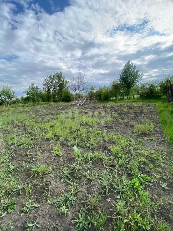 Участок в Белгородская область, Губкин Трудовая ул., 88 (13.1 сот.) - Фото 0
