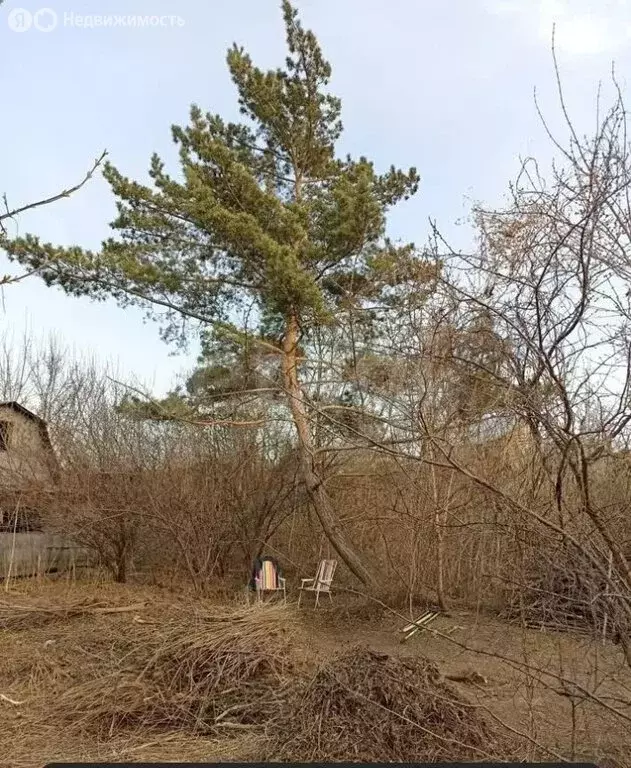 Участок в Новосибирск, садовое товарищество Умелый Строитель (6 м) - Фото 0