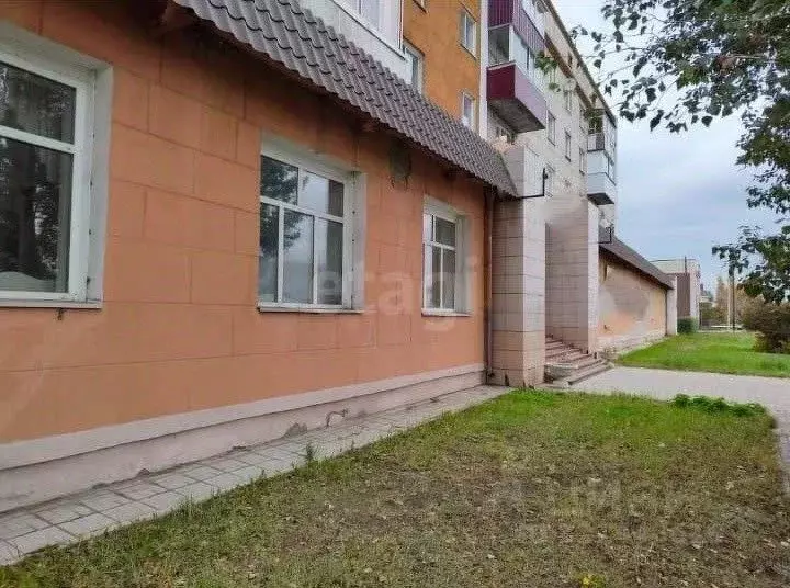 Помещение свободного назначения в Алтайский край, Славгород ул. 1-я ... - Фото 0