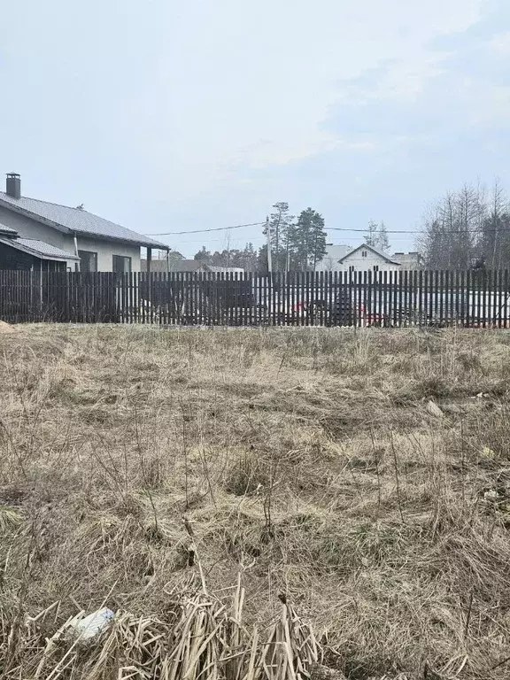 Участок в Ленинградская область, Сертолово Всеволожский район, ... - Фото 1