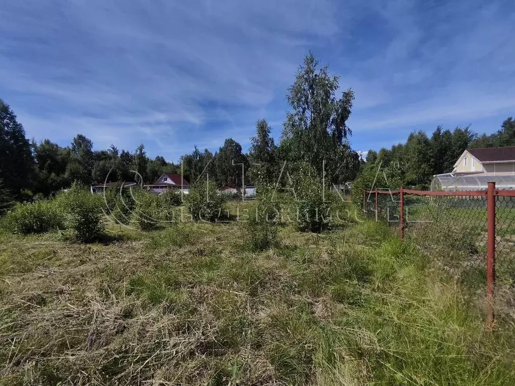 Участок в Ленинградская область, Выборгский район, Советское городское ... - Фото 2