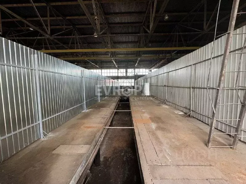 Производственное помещение в Ульяновская область, Ульяновск ул. ... - Фото 1