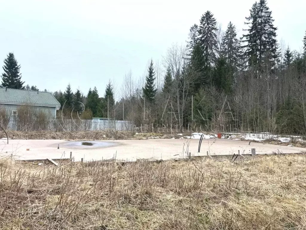 Участок в Ленинградская область, Выборг ул. Раппатила (12.0 сот.) - Фото 1