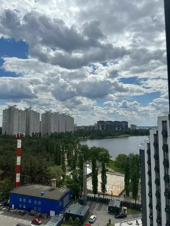 1-комнатная квартира: Воронеж, улица Остужева, 2/1 (49.8 м) - Фото 0