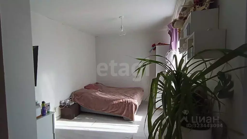 Студия Красноярский край, Красноярск ул. Алексеева, 46 (32.0 м) - Фото 1