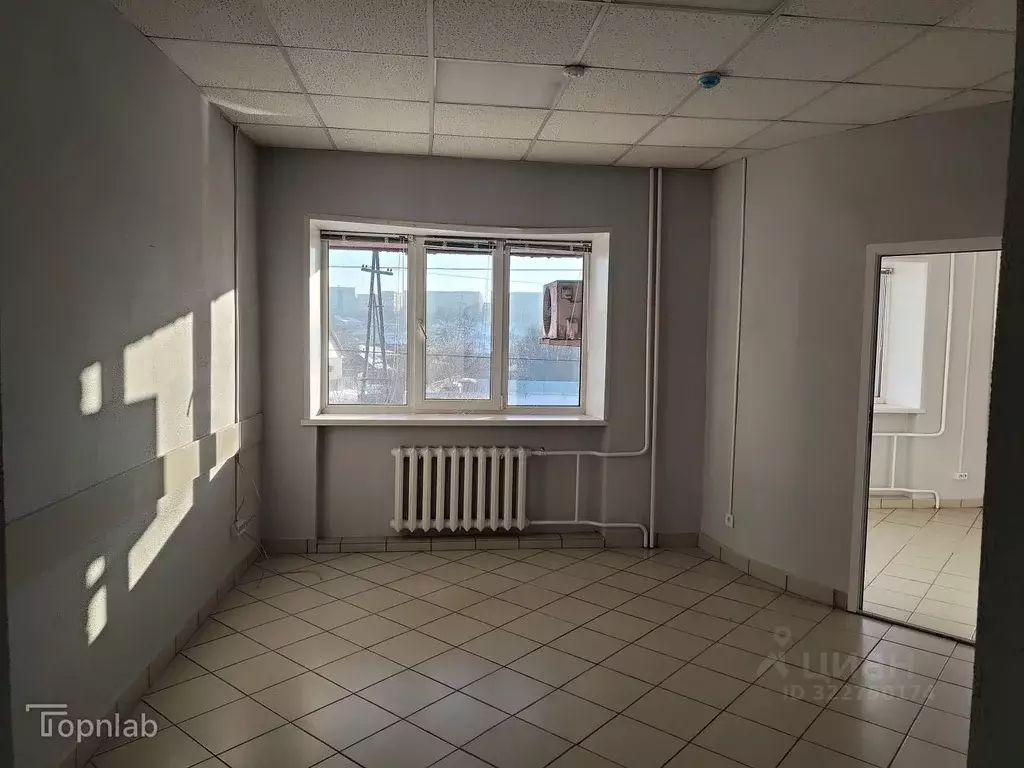 Офис в Алтайский край, Барнаул ул. Эмилии Алексеевой, 102 (40 м) - Фото 1