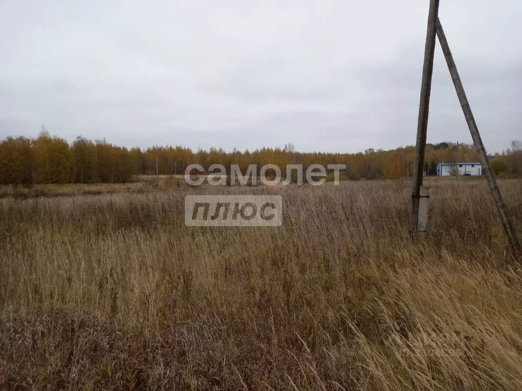 Участок в Нижегородская область, Чкаловск муниципальный округ, с. ... - Фото 2