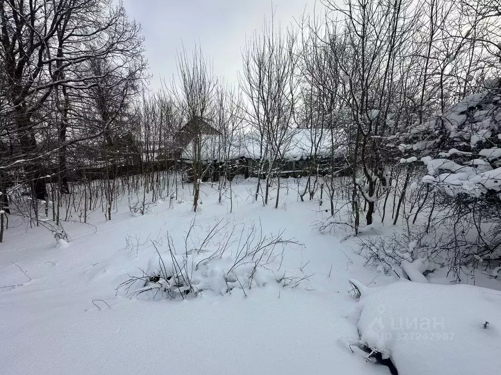 Участок в Московская область, Рузский муниципальный округ, д. Курово  ... - Фото 1