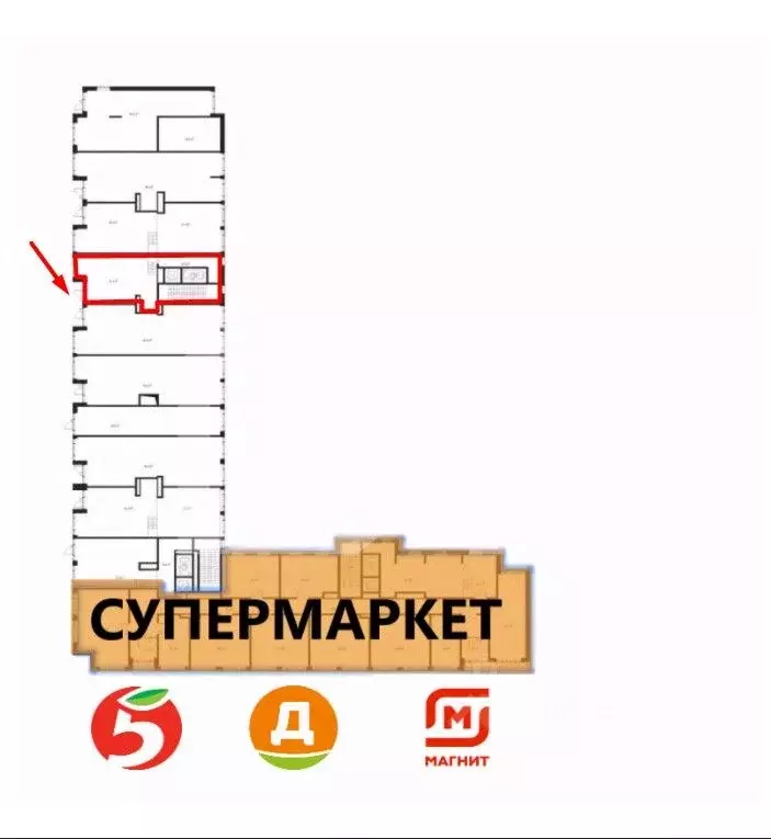 Торговая площадь в Московская область, Химки Клязьма-Старбеево мкр, ... - Фото 2