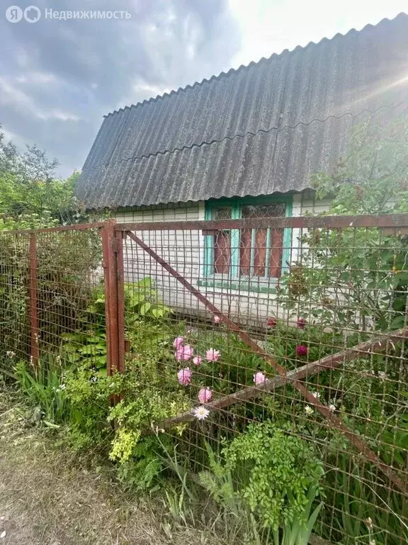 Дом в Курск (36 м) - Фото 1