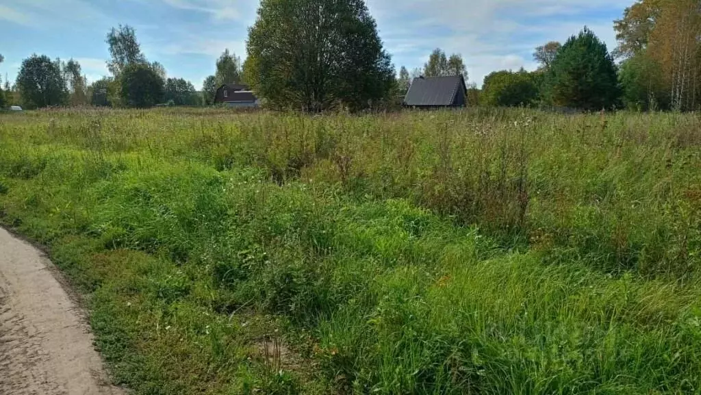 Участок в Владимирская область, Юрьев-Польский район, Симское ... - Фото 0