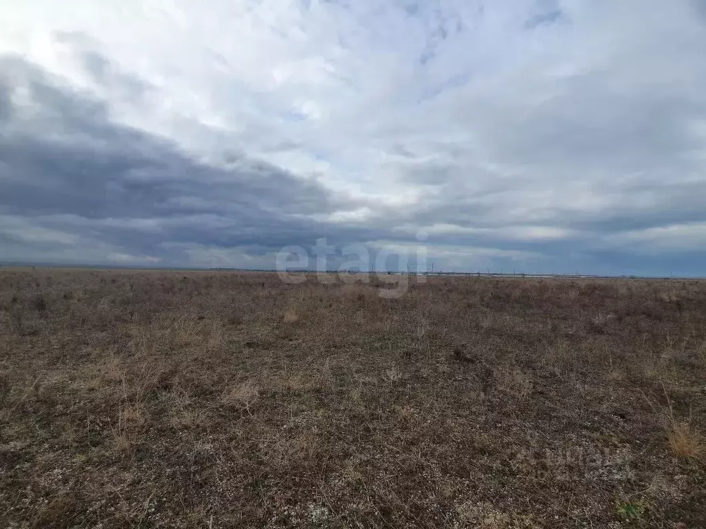 Участок в Крым, Черноморский район, с. Межводное ул. Цветочная (10.0 ... - Фото 1
