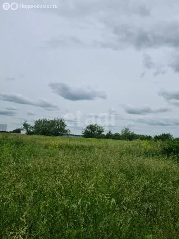 Участок в село Точильное, Шоссейная улица (43.8 м) - Фото 1