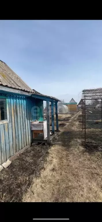 Дом в Новосибирская область, Бердск Ветеран садовое товарищество, 147 ... - Фото 1