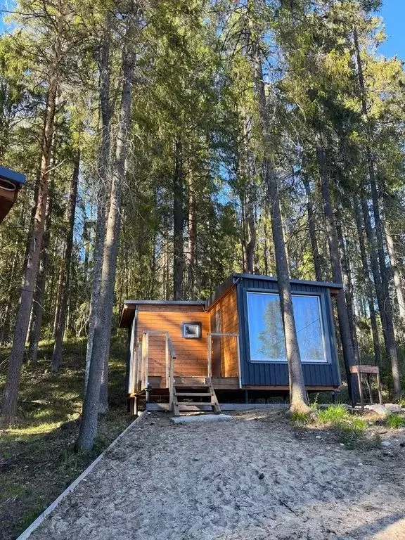 Дом в Карелия, Пряжа пгт ул. Сосновый Бор, 6 (25 м) - Фото 0