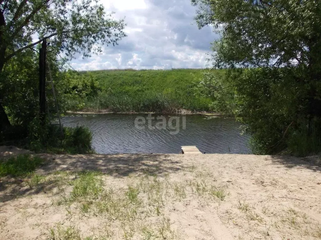 Участок в Саратовская область, Балашовский район, Барковское ... - Фото 0